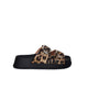 ANIMAL PRINT