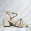 Sandalia 5 1/2 brillos champaña x murano para mujer 2601-z148