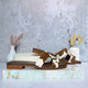 CHOCOLATE VACA