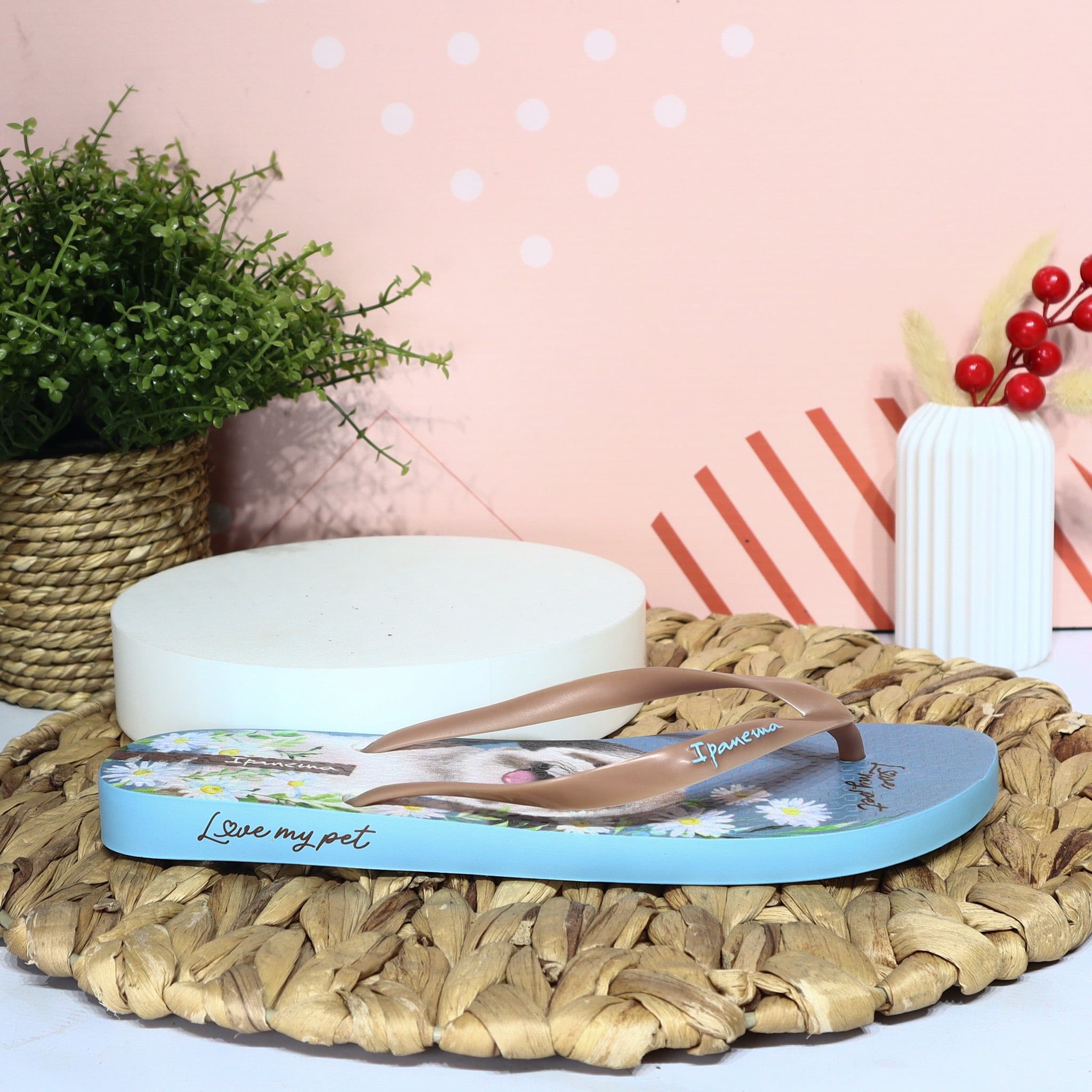 Ipanema azul x nude perro para mujer VT27469