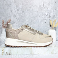 TAUPE X CHAMPAÑA