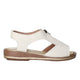 TALCO CUERO