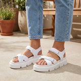 Lifestyle image product 8398442168534
